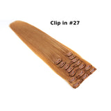 Clip in Extensions
