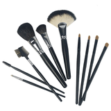 Makeup Brush Set 10 pieces