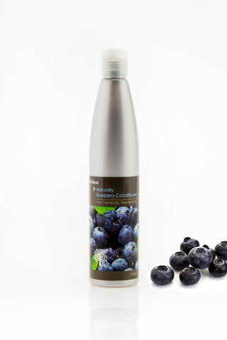 InVision Blueberry Conditioner