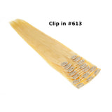 Clip in Extensions