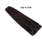 Clip in Extensions